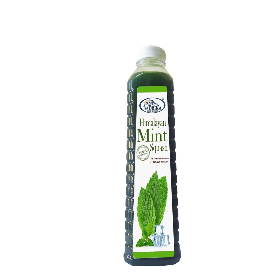 Badrika Pure Natural Refreshing Mint Squash 
