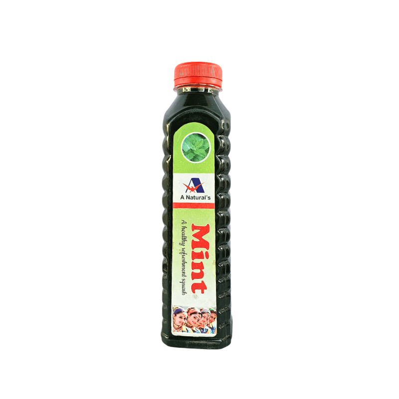 Pahadi Mint Squash – Refreshing Himalayan Flavor