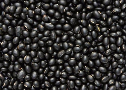  Uttraksh Pahadi Black Bhatt 