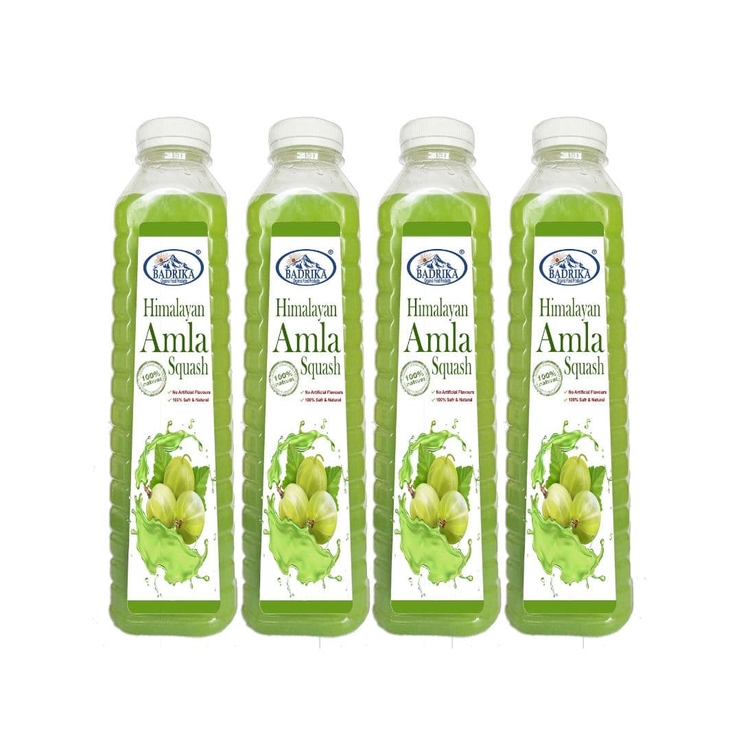 Badrika Pure Natural Amla Squash | Juice  (750 ml, Pack of 4)