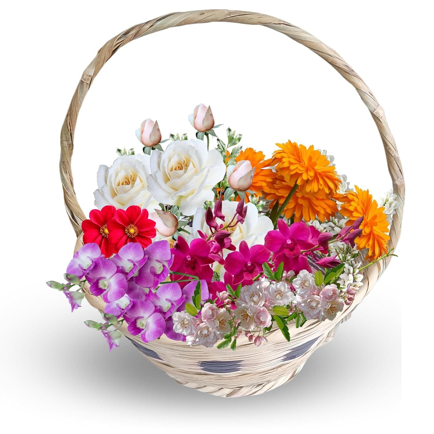 Product gallery b2ec3771-8bd3-4fe2-a7af-706095bb22c2
