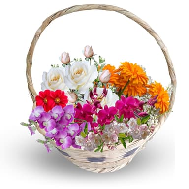 Product thumb gallery b2ec3771-8bd3-4fe2-a7af-706095bb22c2